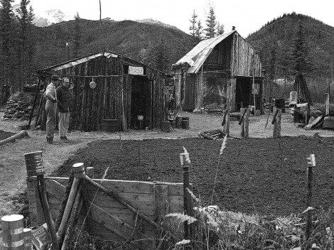 Homestead-in-wiseman Homestead-in-wiseman